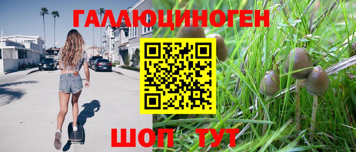 Псилоцибиновые грибы MAGIC MUSHROOMS  Вход с VPN  Белая Калитва 